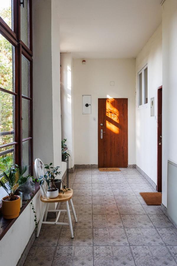 Rustic Charm Apartment